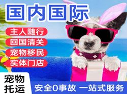 西宁航空快运国际宠物托运 【国